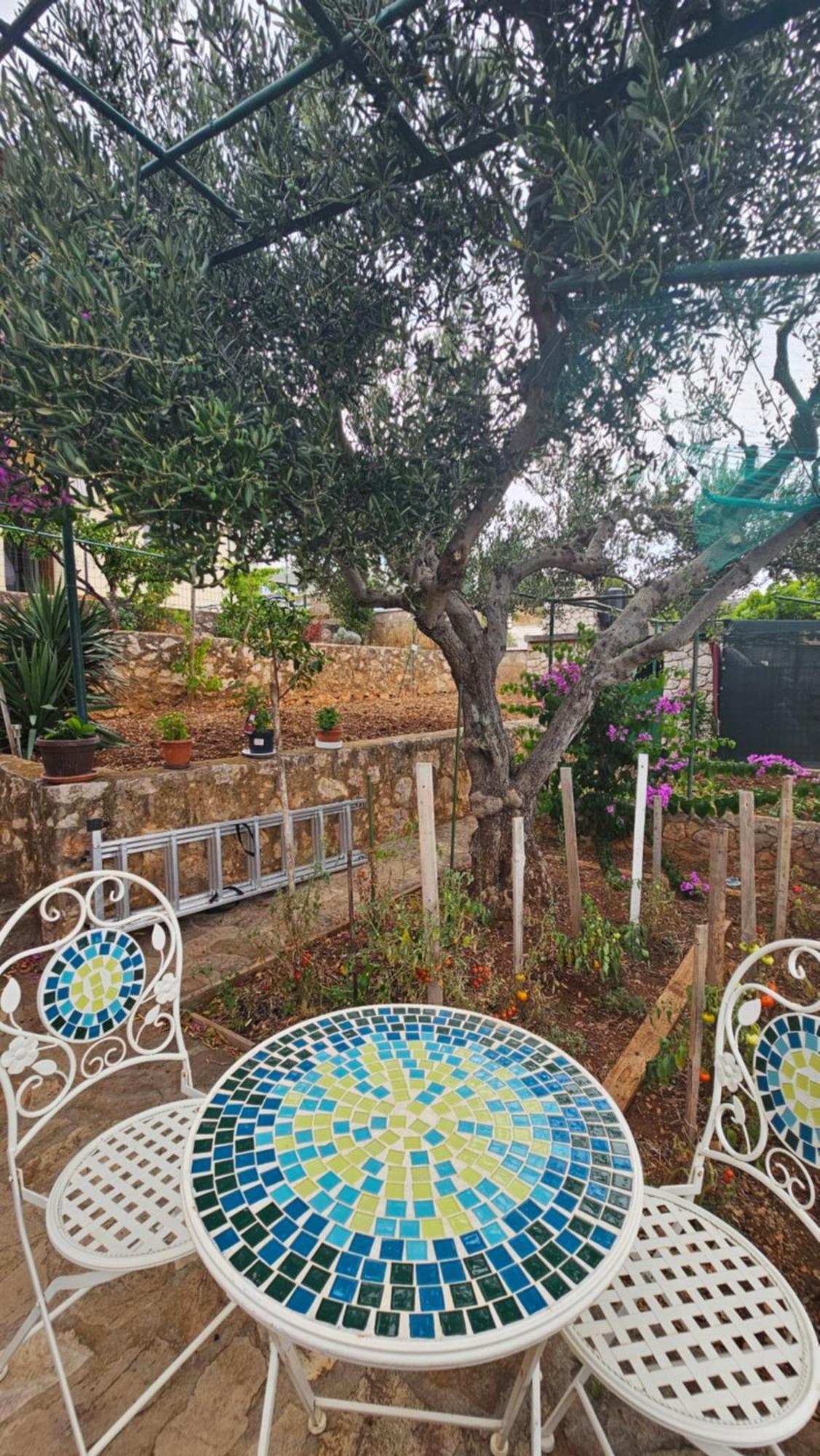 Apartmantaja Dolac